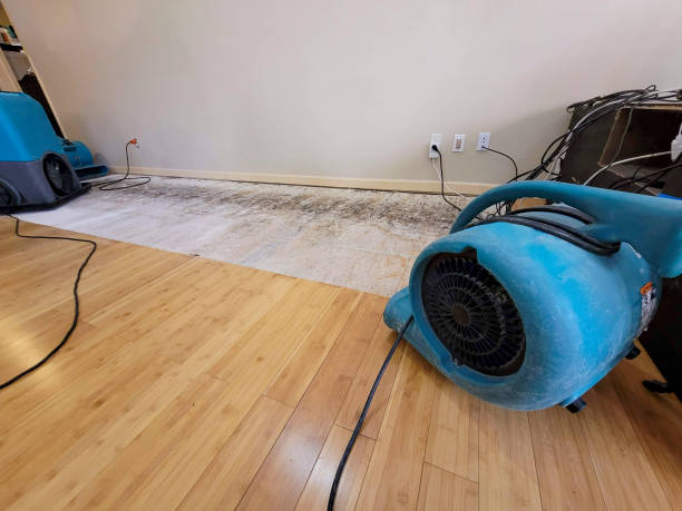 Professional Ceiling Water Damage Repair technician working in Seal Harbor, ME
